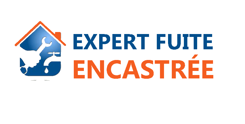 logo-expert-fuite-encastree